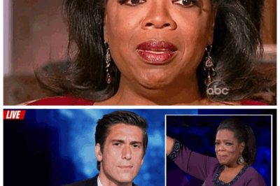 🐘 Shocking and Sad: Oprah Winfrey’s Tragic Ordeal at 71—A Story of Pain, Resilience, and Unexpected Heartbreak! 💥 The beloved star’s life takes a devastating turn, forcing her to confront demons that challenge everything she’s built. “Sometimes, the strongest warriors fight their hardest battles alone.” 👇