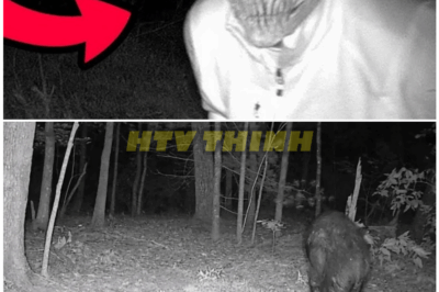 🦊 Hunter’s Trail Cam Picks Up Something So Disturbing, Authorities Were Immediately Contacted—You Won’t Believe What It Shows 👀