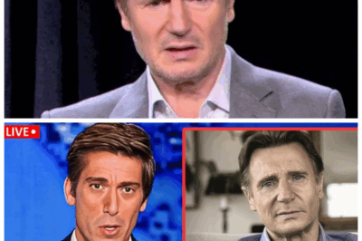 🐘😢 At 73, Liam Neeson’s Tragedy Unfolds: A Heartbreaking Saga of Loss, Loneliness, and a Shattered Legacy That No One Saw Coming! 💔 Behind the iconic roles and towering presence lies a deeply personal nightmare that has left fans and Hollywood reeling. “Even heroes have their darkest battles.” 👇