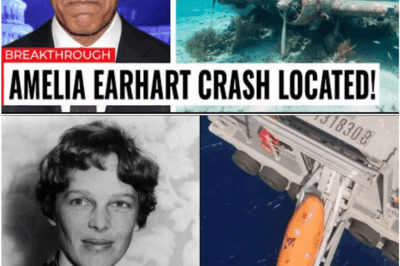After 88 Years, Amelia Earhart’s Plane Has Finally Been Found — And The Truth Changes Everything