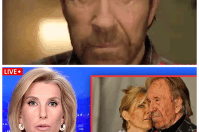 🐘🌪️ Chuck Norris’s Fortune Leaves Family in Tears: The Untold Story of Betrayal, Heartbreak, and a Legacy Threatened by Greed and Secrets 🥋 The once-unbreakable family bond is cracking under the weight of unimaginable wealth and ruthless ambition. “Even the strongest warriors can fall to family strife.” 👇
