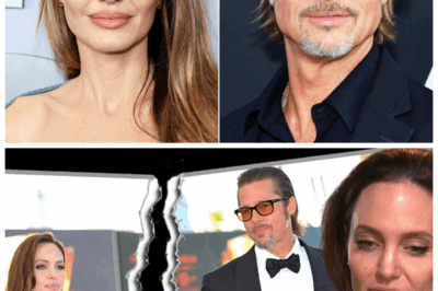🐘 Angelina Jolie 😢 BREAKS HER SILENCE — “I Survived Him, But I Paid the Price,” She Reportedly Told Friends While Pursuing Massive PAYOUT From Brad Pitt Amid Heart-Wrenching Divorce War 👇 The queen of strength finally shows her scars. Those who stood by her say this payout isn’t about money — it’s about reclaiming dignity from the man who once promised forever. “He took her peace,” whispered a close source, “and now she’s billing him for it.”