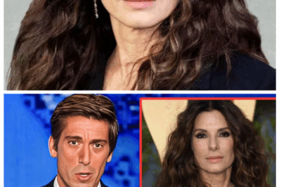🐘 The Untold Tragedy of Sandra Bullock at 61: A Devastating Saga of Heartbreak, Betrayal, and Shattered Dreams 💥 — What began as a fairy tale life has spiraled into a nightmare of personal ruin and emotional devastation, leaving fans shocked and desperate for answers.“Sometimes, the brightest lights cast the darkest shadows.” 👇