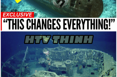 The Nazi Ghost Submarine: What Divers Found Will Chill You to the Bone! – HTT