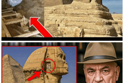 🕵️‍♂️ Before I Die, Zahi Hawass REVEALS the SHOCKING truth buried beneath the Sphinx—an ancient secret that could rewrite history and shake the world to its core! 🏺 This explosive confession uncovers psychological mysteries, hidden chambers, and forbidden knowledge that have been kept in the shadows for centuries! Fans of archaeology and conspiracy alike will be stunned by the dramatic twists and emotional weight of this revelation! The truth behind the Sphinx is finally out—and it’s more terrifying than anyone imagined!⚡👇