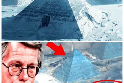 🛸💥 “BREAKING: Bob Lazar Speaks Out On Shocking Recent UFO Sighting—The Truth That Will Change Everything! 👁️‍🗨️ The man who shook Area 51’s secrets just dropped a bombshell that has ufologists and skeptics alike gasping. What hidden truths did Bob reveal, and how does it rewrite the extraterrestrial narrative forever? Prepare for a cosmic shockwave! 👇”