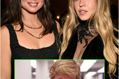 Ana de Armas and Sydney Sweeney’s Box Office Bomb Beats Robert Redford’s Greatest Movie of All-Time in Streaming Debut