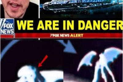 TERRIFYING DISCOVERY!! James Webb Telescope Captures BIZARRE Winged Alien Figure — Elon Musk CHILLS the World: “They are NOT hiding anymore… and soon, they’ll come for us all” .