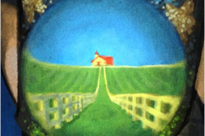 Look Here: A Deep Dive into the Eye Exam Landscapes