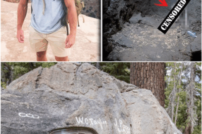 Man Disappeared in Nevada Woods – 6 Years Later His Bones Found Carved With Strange Symbols, Raising Chilling Questions
