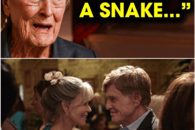Meryl Streep Breaks Her Silence at 76: The Shocking Truth She Finally Revealed About Robert Redford