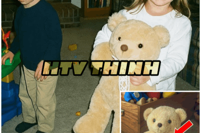 16 Years of Silence Broken: The Shocking Truth Behind a Missing Girl’s Toy – HTT