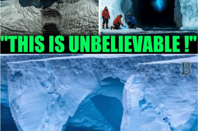 ❄️ The Antarctica Anomaly: Archeologists Drill Into the Ice and Uncover a Secret Humanity Wasn’t Supposed to See 🚨