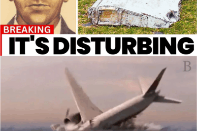 😨 “‘They’re Not Who They Say They Are’: The Terrifying Last Text from Flight MH370”