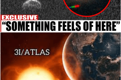 The Alien Visitor Melting Too Soon: 3I/ATLAS Is Defying Every Law of Space — and Scientists Are Losing Sleep Over It