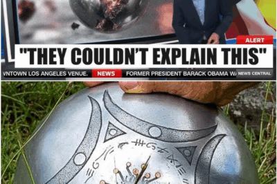 NASA’s Silent Shutdown: The Buga Sphere That Defied Every Law of Physics