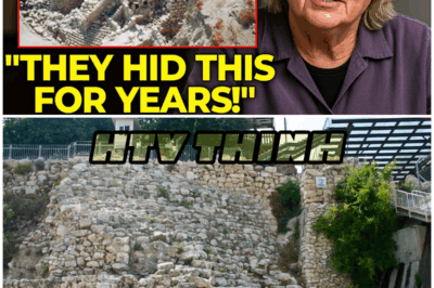 😱 Before Her Death, Eilat Mazar Revealed the “Secrets” Hidden in David’s Palace 😱 – HTT