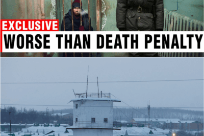 🐻 “Trapped in Ice: The Dark Secret of Russia’s ‘Owl Prison’ and the Birds Fighting to Stay Alive”