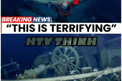😱 “Frozen in Time”: What Underwater Robots Found Near Shackleton’s Shipwreck Will Haunt You 😱 – HTT