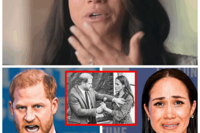 🐘⚡ Prince Harry’s Explosive Public Snub of Meghan—A Moment So Intense, the Crowd Was Left Speechless! 😳 “Because even fairy tales have their villains.” 👇Caught in a rare and raw moment, Prince Harry’s sharp outburst at Meghan Markle stunned everyone present, unraveling years of carefully crafted public image and leaving royal fans desperate to decode what really went wrong behind the palace walls.