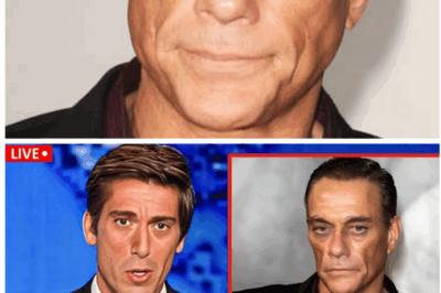 🐘 The Devastating Truth Behind Jean-Claude Van Damme’s Life at 64: A Tale of Pain, Scandal, and Unimaginable Loss That Will Leave You in Tears 💔 — Peel back the curtain on the action hero’s darkest days, revealing a tragic saga that no one expected, filled with emotional wreckage and shocking revelations. “Behind every powerful punch lies a broken soul.” 👇
