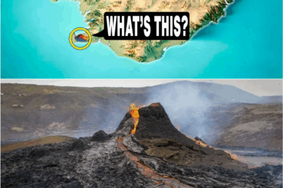 🐻 “Scientists Just Exposed the Truth About Iceland — And It’s Nothing Like What We’ve Been Told”