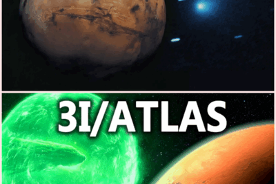 NASA SHUTS DOWN as 3I/ATLAS Zooms Past Mars! What You Need to Know About This Interstellar Visitor