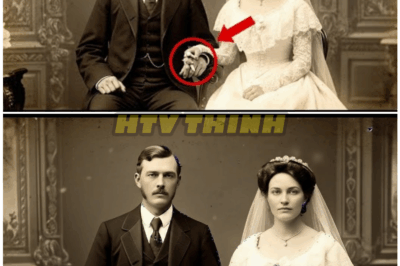 🦊 “A SMILING BRIDE, A DARK SECRET: This 1903 Wedding Portrait Looks Normal — Until You ZOOM In on Her Hand and See What She Tried to HIDE Forever 😱💍”