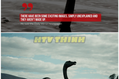 🦊 “Silenced, Ignored, and Nearly Erased: The Woman Who Came Closer Than Anyone to Proving the Loch Ness Monster Is Real… Then Mysteriously Disappeared From the Spotlight 🕵️‍♀️🦕”