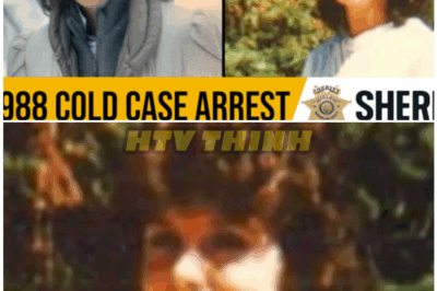 🦊 1966 OREGON COLD CASE FINALLY SOLVED — ARREST STUNS TOWN AND UNCOVERS A DARK SECRET BURIED FOR DECADES 🚔
