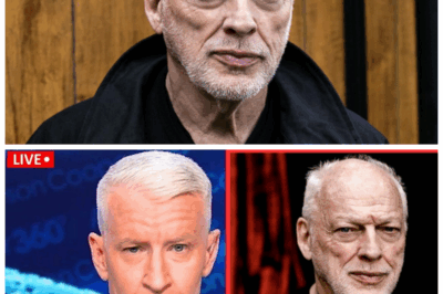 💔🎸 At 79, The Tragedy Of David Gilmour Is Beyond Heartbreaking: The Untold Agony Behind The Guitar Legend’s Silence! 😢 David Gilmour’s soulful riffs and iconic solos hid a devastating personal tragedy that fans never saw coming. This explosive exposé reveals the emotional scars, hidden heartbreaks, and shocking twists that have haunted the Pink Floyd legend in his later years. Prepare to dive into a raw, emotional journey behind the music and the man!👇
