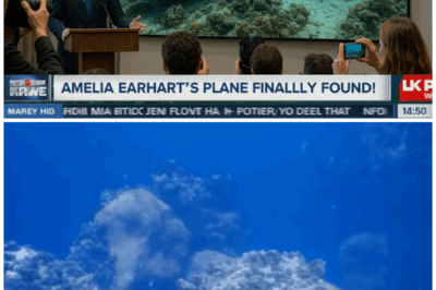 The Terrifying Secrets of Amelia Earhart’s Plane Wreck: What the Underwater Drone Discovered