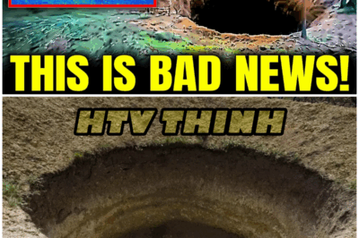 😱 Mel’s Hole: AI Shows It’s Not Just a Bottomless Pit – It’s a Global Network, and You’re Not Ready for This! 😱 – HTT