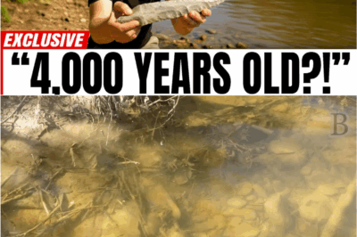 🌀 “Frozen in Mud for 4,000 Years: The Treasure That Should Never Have Been Found”