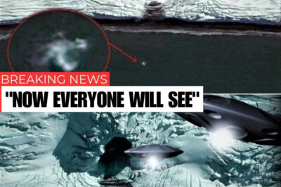 A “door seems to open” in Antarctica and fuels all kinds of theories