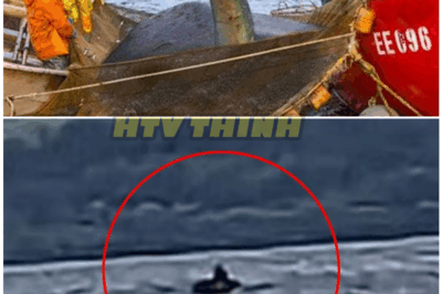 🦊 20 TIMES the Loch Ness Monster Was CAUGHT on Camera – Why These Jaw-Dropping Videos Keep Vanishing Without a Trace 📹