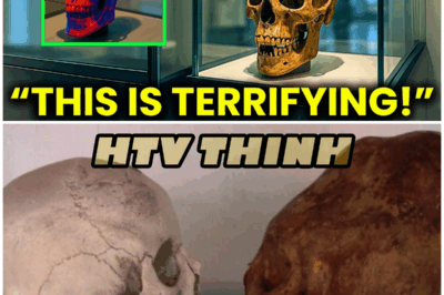 😱 Ancient Peruvian Elites Were Basically Global Travelers? DNA Says Yes, History Says No 😱 – HTT