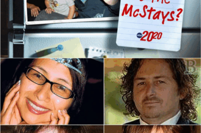 🕯️ “Dinner Was Still on the Table” — Inside the Night the McStay Family Vanished Without a Trace 😳