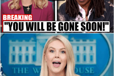 “Sit Down, Barbie”: Whoopi Goldberg Silences Karoline Leavitt in Tense Live TV Clash That Left The View Studio Frozen