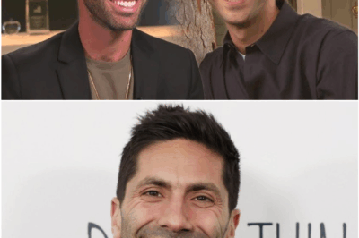 Nev Schulman Breaks Silence on ‘Catfish’ Cancellation — From Catching Liars to Selling Luxury Homes in New York