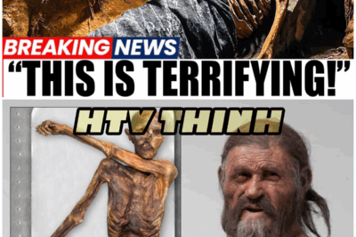 😱 5,000-Year-Old Mystery Solved: Ötzi’s Ancestry Was NOT What We Expected! 😱 – HTT