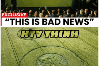 😱 AI Uncovers Crop Circle Secrets… Turns Out, Wheat Was Smarter Than We Thought! 😱 – HTT