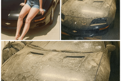 The Mysterious Disappearance of Danielle Morgan: What Was Found in Her Car Will Leave You Speechless!