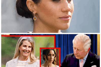 🐘 SHOCKING ROYAL REVELATION: DUCHESS SOPHIE ACCEPTS TO REPLACE MEGHAN JUST AS CHARLES DROPS A GAME-CHANGING PROPOSAL! 👑 The monarchy faces unprecedented turmoil as Sophie’s acceptance stirs old rivalries and Charles’ unexpected proposal hints at a power shift that could redefine the royal legacy forever—sending shockwaves through the kingdom and beyond. “In the palace, nothing is ever as it seems.” 👇