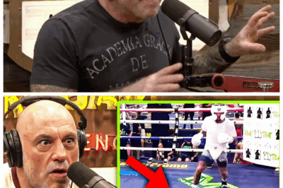 🐘 Joe Rogan Left in SHOCK as Gervonta Davis KNOCKS OUT Heavyweight During Sparring Session! 😱 “Is this the most shocking knockout EVER in sparring?” 😱 Joe Rogan’s jaw hit the floor as Gervonta Davis, a lightweight, effortlessly knocked out a heavyweight during a sparring session. The fight world was stunned as Davis’ power proved unstoppable. Was this a fluke, or is the boxing world about to see a true revolution? Fans are now wondering if Davis can take his skills into bigger, tougher matches. 👇