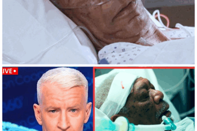 🐘 At 88, Morgan Freeman’s Tragedy Is A Heartbreaking Tale Of Loss And Loneliness! 🎬⚡ The Hollywood icon’s life has been a rollercoaster of triumphs and devastating sorrows, but his latest years reveal a painful story of isolation and grief. This explosive revelation uncovers the hidden battles Morgan Freeman fights daily, far from the adoring eyes of fans. Prepare for a gut-wrenching journey into the tragic reality behind one of cinema’s greatest legends. Because sometimes, the silence speaks loudest. 👇