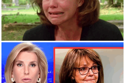 🐘 The Untold Tragedy of Sally Field at 78: A Devastating Saga of Heartbreak, Betrayal, and Shattered Dreams 💥 — What began as a fairy tale life has spiraled into a nightmare of personal ruin and emotional devastation, leaving fans shocked and desperate for answers. “Sometimes, the brightest stars cast the darkest shadows.” 👇