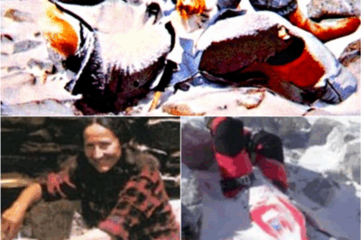 🏔️ “Frozen at the Roof of the World: The Last Breath of Hannelore Schmatz — The Woman Who Died Staring at the Sky ❄️😢”