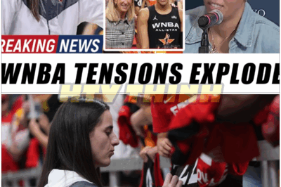 🐿️😱 Tensions BOIL OVER: Napheesa Collier And Cathy Engelbert’s Public Fallout Linked To Caitlin Clark Playoff Talks — 🏀 Shocking Feud, Explosive Accusations, And A WNBA Power Struggle That Has Fans And Players In Total Shock 🔥