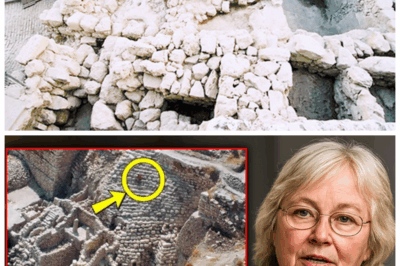 🐘 Eilat Mazar’s Final Revelation: The Truth from the Palace of David That No One Expected! 🌪️ In a shocking twist, Mazar’s last words reveal archaeological findings that contradict long-held beliefs and threaten to rewrite biblical history. This revelation has sparked outrage, disbelief, and a fierce fight to control the narrative. “Because when the past speaks, it demands to be heard,” prepare for the unprecedented drama unfolding in the world of history and faith! 👇